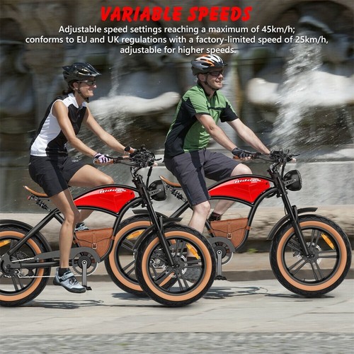 NEW 20 Zoll Retro Elektrofahrrad,48V 13AH Fat bike E-Bike Mountainbike Hidoes - Bild 12 von 19