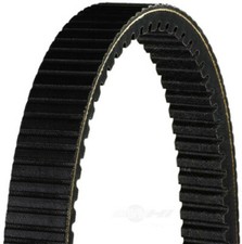 Belt  Dayco  HPX5004