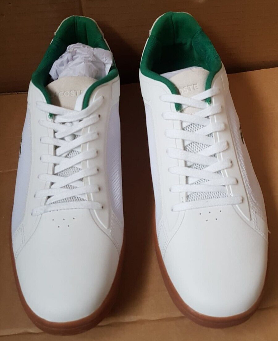 Lacoste endliner 116 sale