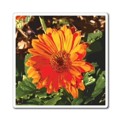 Orange Daisy - Magnets
