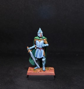 BMA-PRO-PAINTED-AD-amp-D-Fantasy-Darksword-Ser-Manden-Moore-Kingsguard