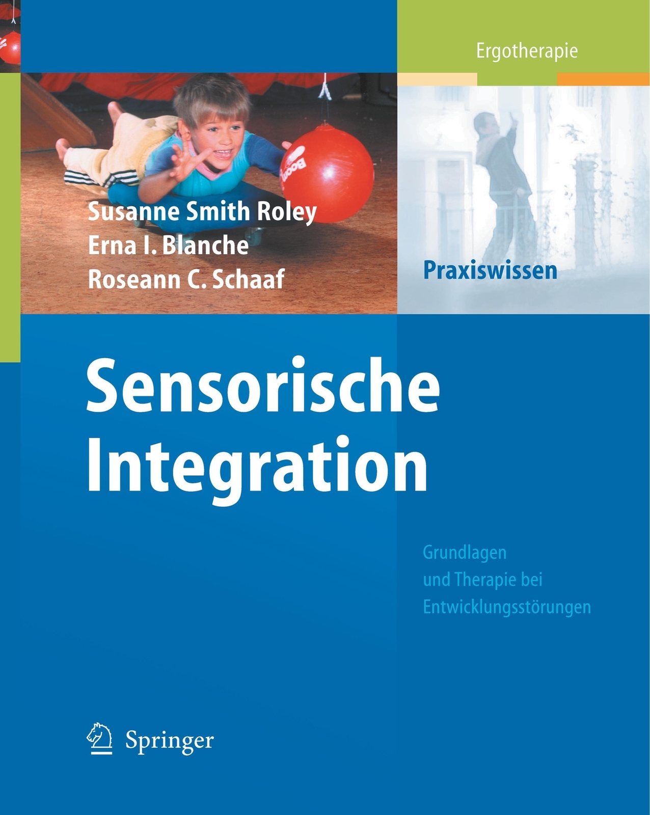 Thumbnail - Sensorische Integration | Susanne Smith Roley (u. A.) | Taschenbuch |