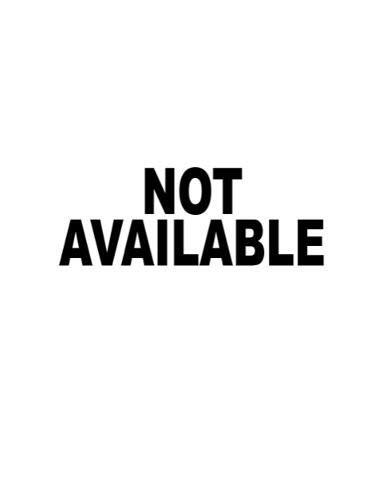 Lose Weight Fast The Slow Cooker Spice-Guy Curry Diet Recipe Boo