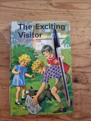 The Exciting Visitor - Ruth Hayes
