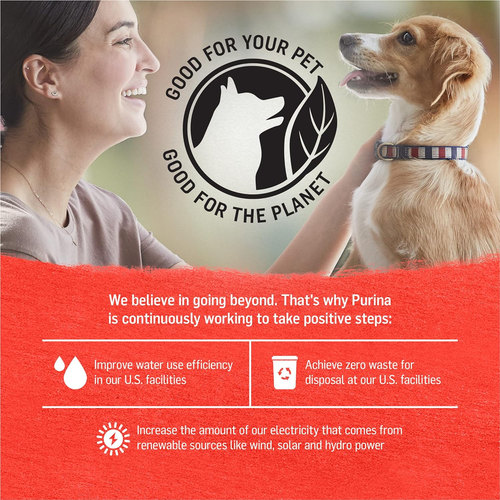 Beef, Potato, and Green Bean Grain Free Wet Dog Food Natural Pate with Added Vit - Picture 6 of 11