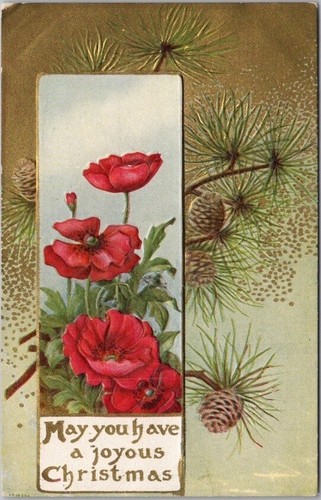 Vintage 1910er WEIHNACHTEN geprägte Postkarte Mohnblumen / Tannenzweig Tannenzapfen
