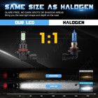 Bild 11 von 13