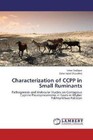 Characterization of CCPP in Small Ruminants von Umer Sadique und Zafar Iqbal Chaudhry (2012, Taschenbuch)
