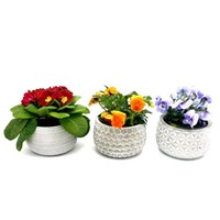 Blumentopf ÜBertopf Pflanztopf Pflanzschale Rund Beton Topf KüBel 3Er Set Ø 13 C