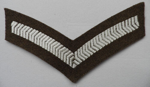 Printed Webbing: Mod Chevron Printed Webbing: Mod Chevron