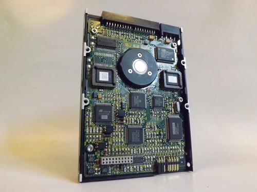 FESTPLATTE CONNER CP30254 252MB 4542U/min 64KB CACHE PATA ATA IDE 3.5" Zoll HDD - 第 1/4 張圖片