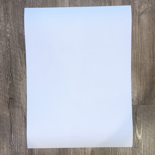 2025 Bonnaroo Music Festival 18x24 Liorzh Poster Hozier Luke Combs Dom Dolla - Picture 5 of 5