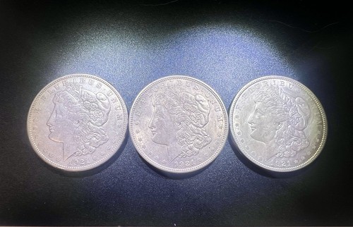 Set of Three (3) US 1921 Morgan Dollar $1 Coins - Circulated Coins