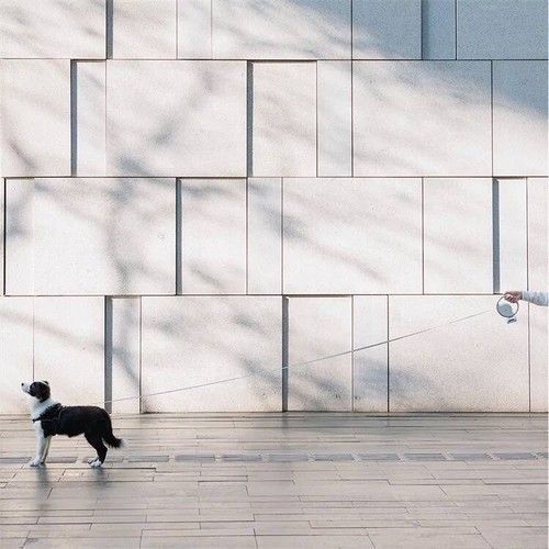 Dog Leash Retractable with LED Light, Non-Slip Handle and Poop Bag Inc. White - Picture 7 of 7