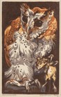 Norbertine Bresslern-Roth 1920 – Rose-eared Owl Austrian Animal Color Woodcut