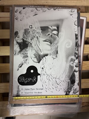 ビョーク　ポスター　Vespertine 注目ブランド Amazon｜BJORK - Vespertine Mini Poster - 28.5