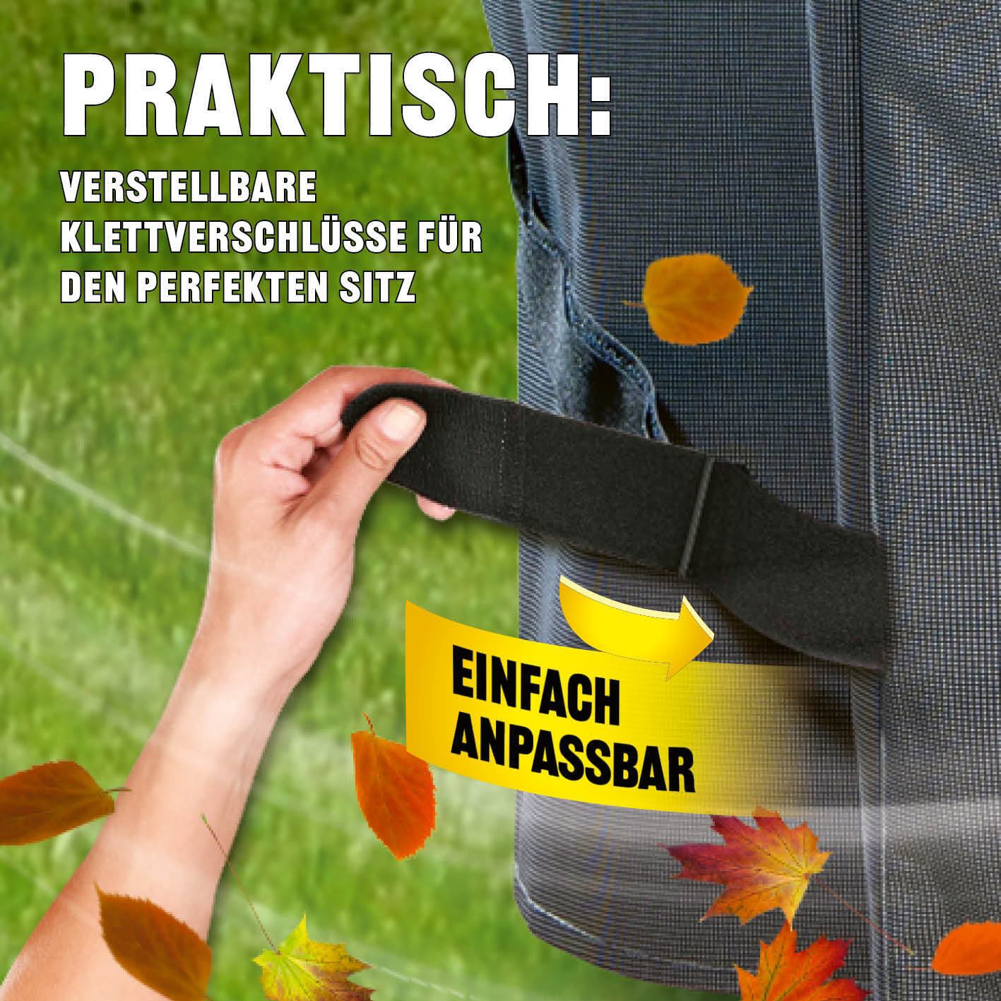 Bild 5 von 8