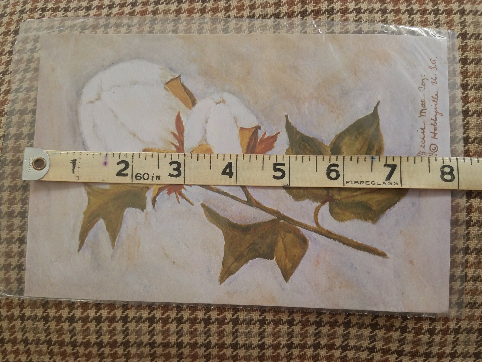 Bild 5 von 6
