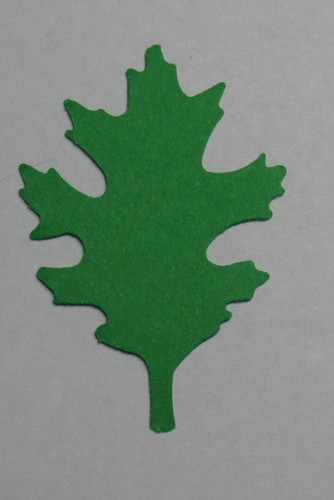 EICHENBLATTBLÄTTER Set 60 Stück je 5 Farben Stanzer Ausstanzer Sie wählen die Größe - Bild 40 von 43
