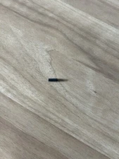 Ruger New Model Single Action, Cylinder Latch Plunger Assy, # XRN-46/ 77, RU-624