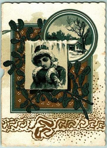 1891 St Louis Exposition Kingdom Souvenir Real Estate Advertising Trade Card I13 - Picture 1 of 3