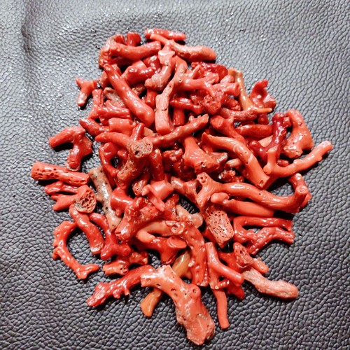 Natural Red-Orange Sea Coral Branch Red Coral Polished Rough Gemstone 100"ct Lot - 第 1/8 張圖片