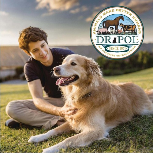 (12 pack) Beef Canned Dog Food, 12.5oz. - Picture 6 of 6