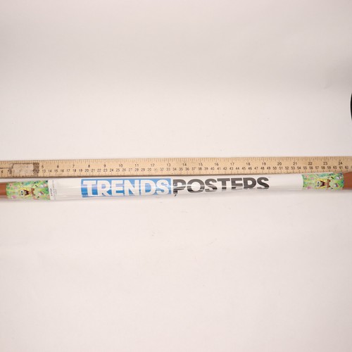 Trends International Nickelodeon SpongeBob Squarepants Kamp Koral Burst Poster - Bild 2 von 5