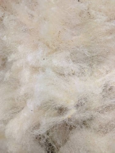 Natural Eco Hanging Basket Liner - Sheep Wool - Picture 3 of 6