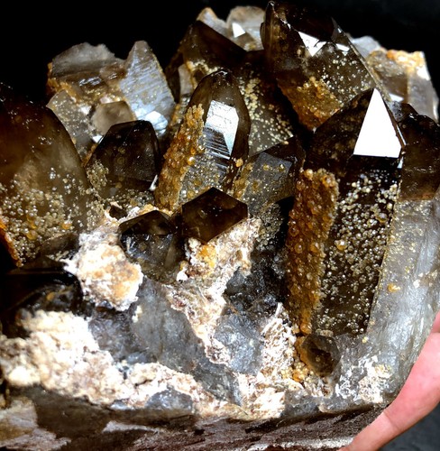 1575g Brand new Rare Black SMOKY QUARTZ Crystal Point&Garnet Spessartine g160 - Picture 3 of 12