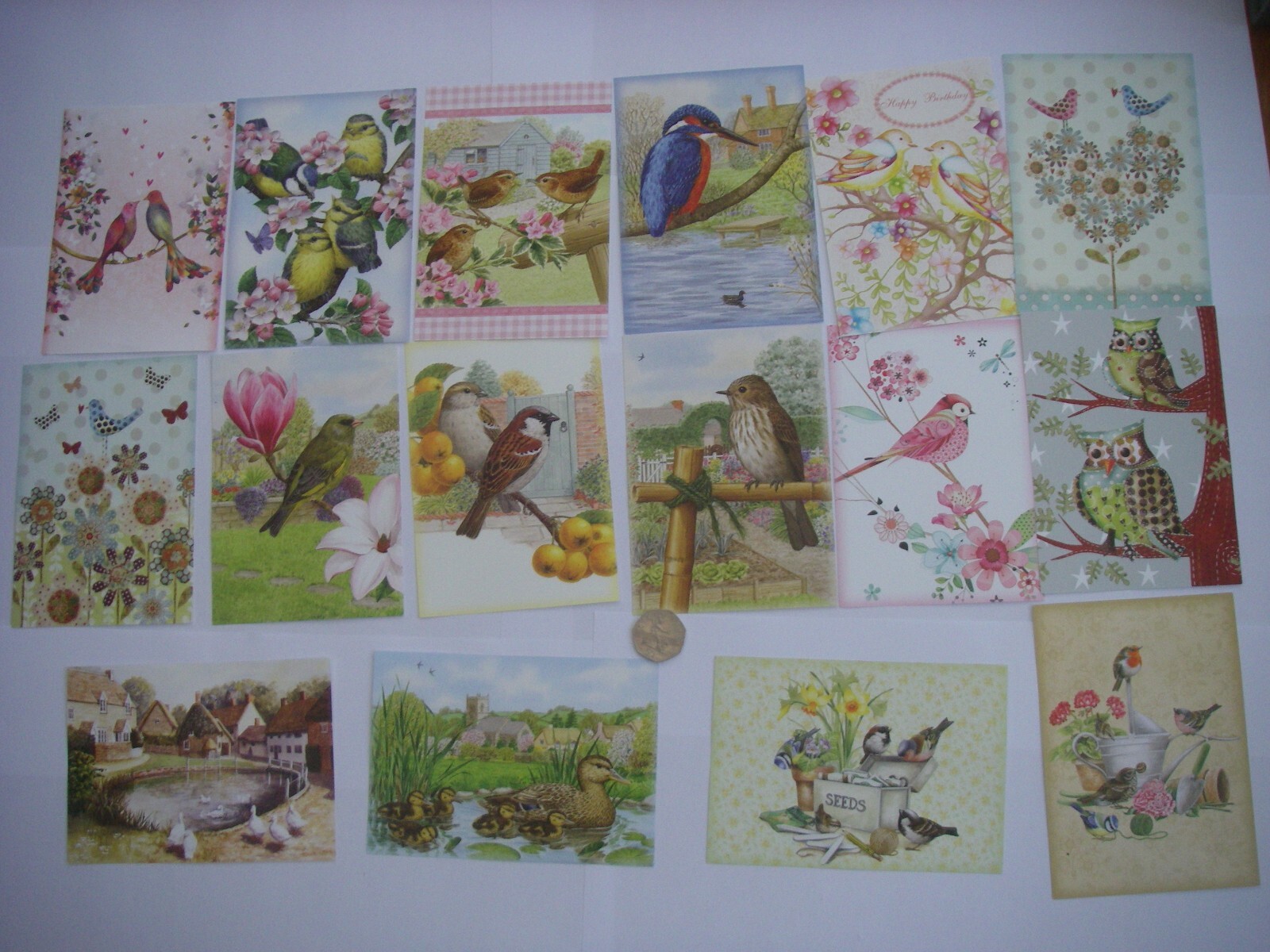 Bild 1 von 12