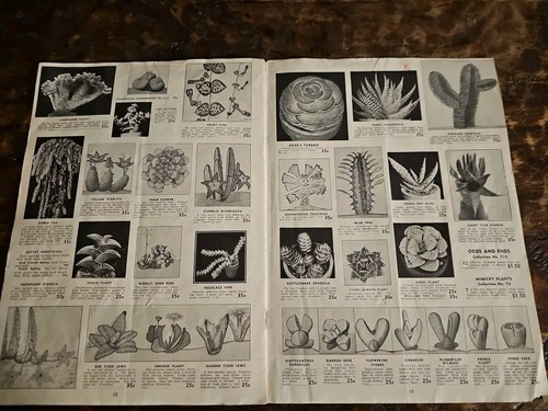 Johnson Cactus Gardens Catalog 1951 Vintage - Picture 8 of 8