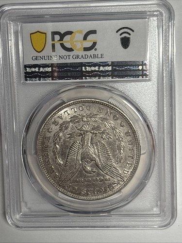 1884 Morgan Dollar PCGS Harshly Cleaned AU Detail - Picture 2 of 2