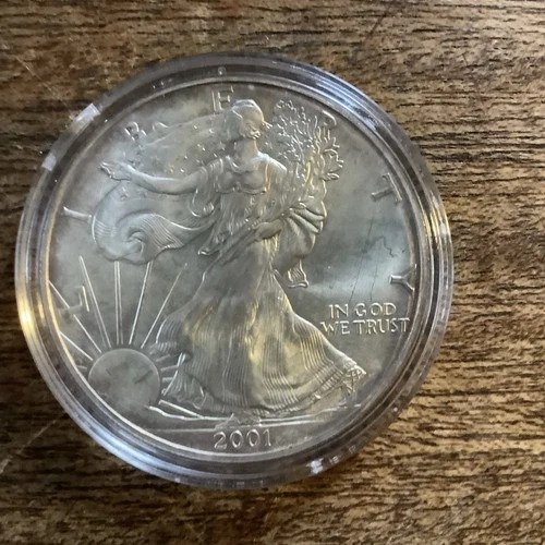 2001 - 1 oz American Silver Eagle Coin - One Troy oz .999 Bullion