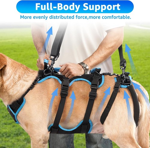 Lafoty Dog Lift Harness for Medium Male Dogs Friendly, 2 in 1 Detachable Help - Picture 10 of 12