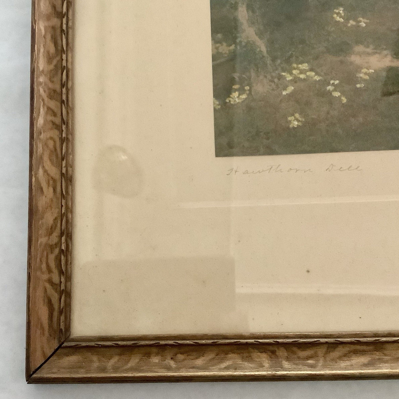 Foto 10 di 14