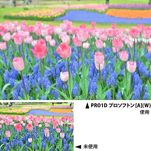 Kenko camera filter PRO1D prosofuton [A] (W) for soft effects 62mm - Picture 5 of 7