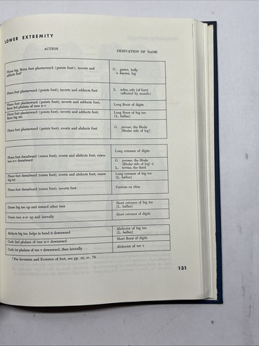 Atlas of Human Anatomy for the Artist 1976 Oxford Press Stephen Peck - Picture 11 of 12