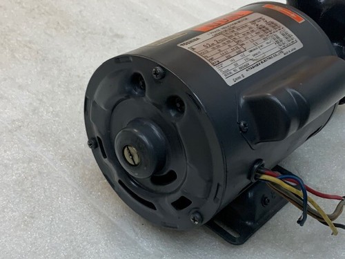 Nikuni 20FHD6-02S Regenerative Turbine Pump 1 PH AC100/200V 60Hz Motor New - Picture 7 of 7