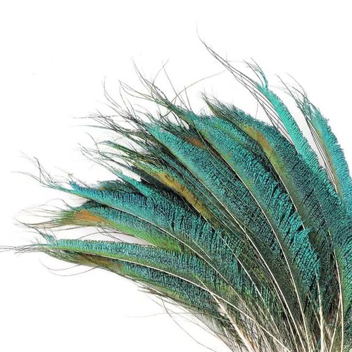 10x Natural Peacock Tail Feathers Wedding Home Décor DIY Art Crafts 25cm-30cm - Picture 2 of 6