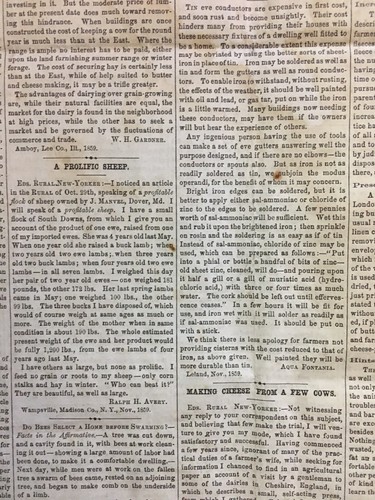 Grape Vine Pruning & Training 1859 Sam Houston Mormon President-Kit Carson - Picture 19 of 19