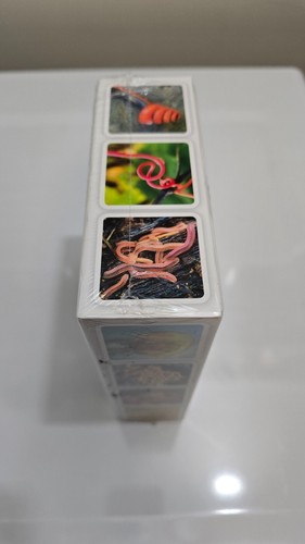 OUISI Nature creativity memory game - Picture 4 of 6