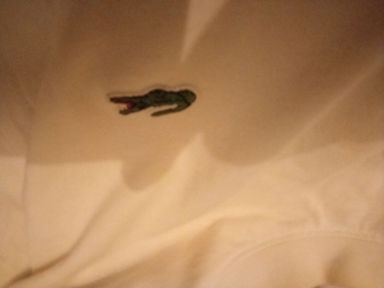 Picture 4 of 6