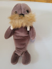 Ty Beanie Baby Jolly the Walrus 1996 new with tags