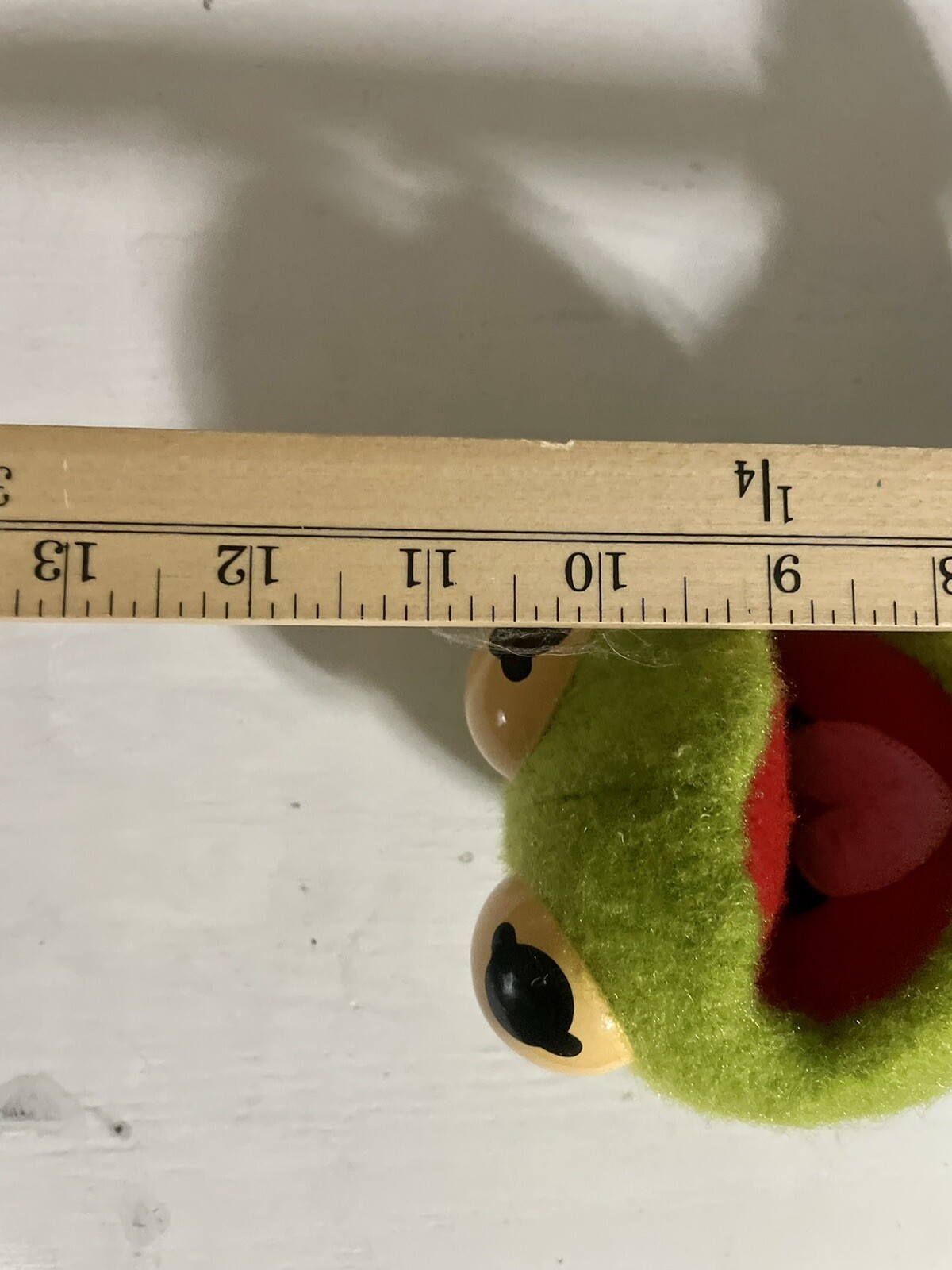 Picture 5 of 5