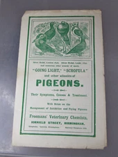 FREEMANS Vet. GOING LIGHT SCROFULA & Other Ailments of PIGEONS Pamphlet-c1900