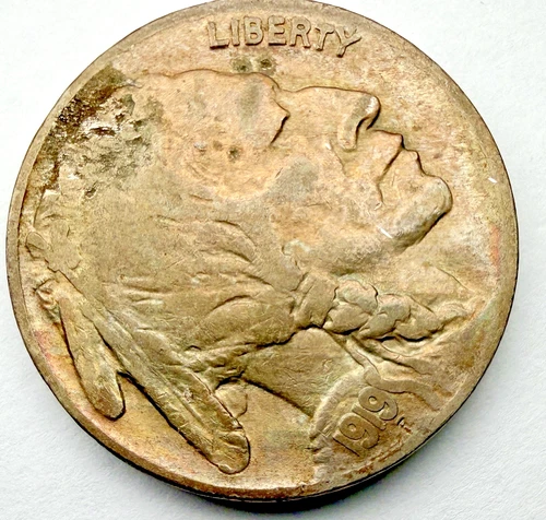 1919 Buffalo Nickel US 5c ~ Clear, Full Date ~ Near Full Horn ~ F46