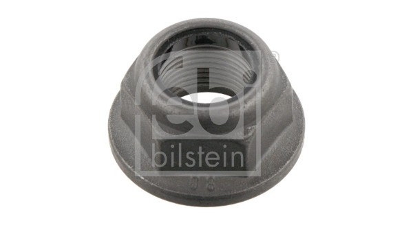 Mutter Achszapfen Febi Bilstein 19893 FüR Renault Dacia Nissan Kubistar 19 Clio-image