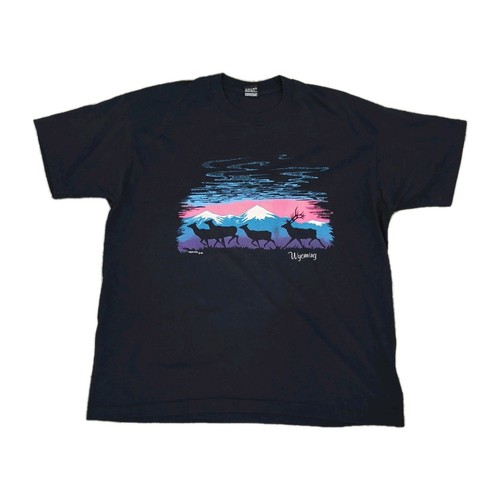 Vintage USA Tourist T Shirt Wyoming Mens Single Stitch Graphic Print 90s