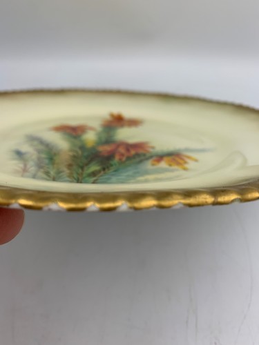 Fantastic W Hale Hand Painted Royal Worcester Botanical Cabinet Plate 1918 - Picture 16 of 17